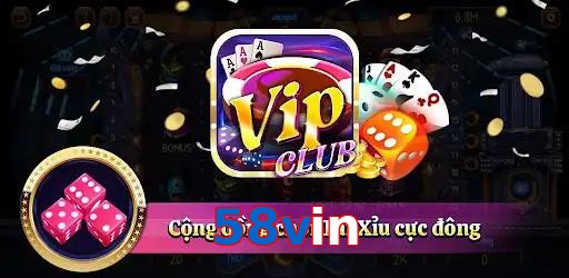 58vin